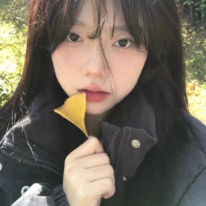 傀儡生涯